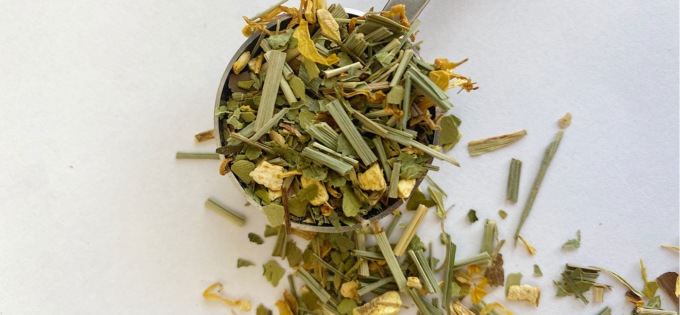 what is yerba mate tea blog