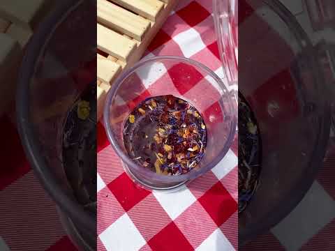 tutti frutti tea video